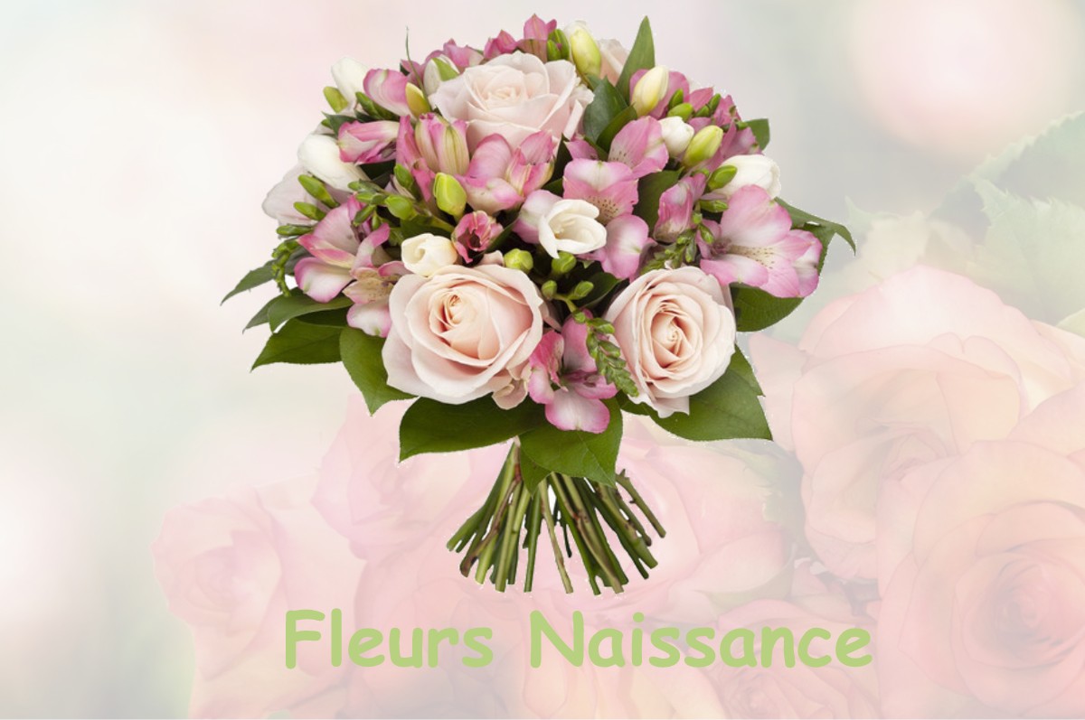 fleurs naissance NOYANT-LA-GRAVOYERE